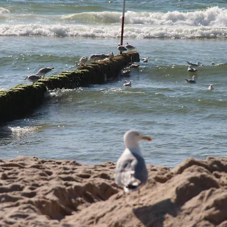 Duenenhof-zum-kronprinzen-strandnah-1min * Wenningstedt-Braderup